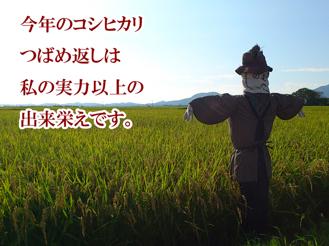 秋の出来栄えは私の実力以上です。