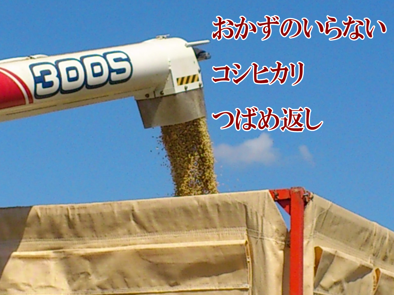 うまいと言っていただけるコシヒカリ