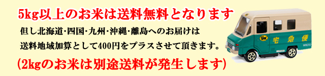 この商品は送料無料です。